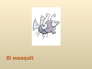 El mosquit 