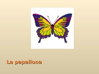 La papallona 