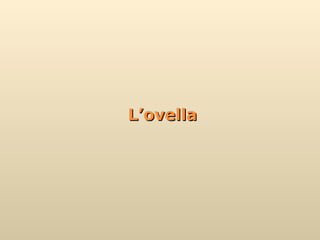 L’ovella 