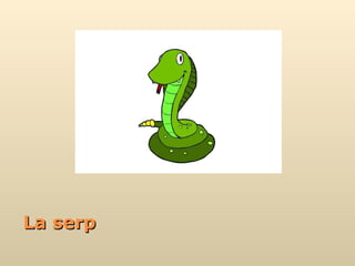 La serp 