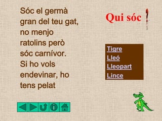 Sóc el germà
gran del teu gat,   Qui sóc
no menjo
ratolins però
                    Tigre
sóc carnívor.       Lleó
Si ho v...