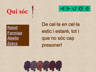 Qui sóc
          De cel·la en cel·la
Ratolí
Formiga   estic i estaré, tot i
Abella    que no sóc cap
Zebra
          pres...