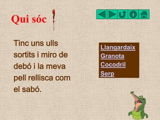 Qui sóc

Tinc uns ulls       Llangardaix
sortits i miro de   Granota
debó i la meva      Cocodril
                    Serp...