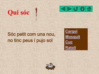 Qui sóc

                          Cargol
Sóc petit com una nou,    Mosquit
no tinc peus i pujo sol   Cuc
                ...