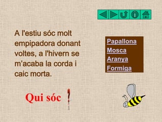 A l'estiu sóc molt
empipadora donant       Papallona

voltes, a l'hivern se   Mosca
                        Aranya
m’acaba...