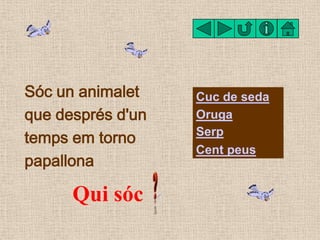 Sóc un animalet    Cuc de seda
que després d'un   Oruga
temps em torno     Serp
                   Cent peus
papallona

  ...