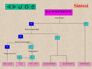 Síntesi
                                                        ELS INVERTEBRATS

                                        ...