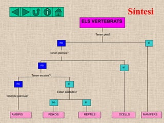 Síntesi
                                                             ELS VERTEBRATS

                                     ...