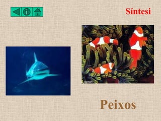 Síntesi




Peixos
 