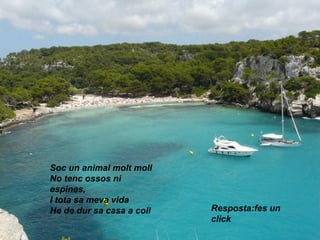 Soc un animal molt moll
No tenc ossos ni
espines,
I tota sa meva vida
He de dur sa casa a coll Resposta:fes un
click
 