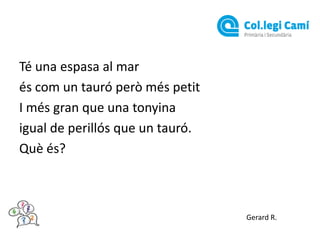 Té una espasa al mar
és com un tauró però més petit
I més gran que una tonyina
igual de perillós que un tauró.
Què és?

Gerard R.

 