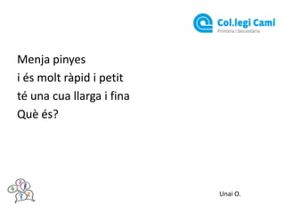 Menja pinyes
i és molt ràpid i petit
té una cua llarga i fina
Què és?

Unai O.

 