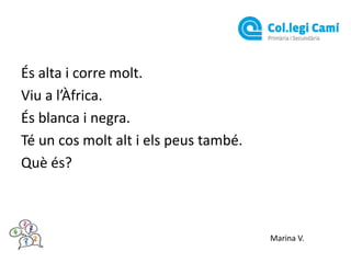 És alta i corre molt.
Viu a l’Àfrica.
És blanca i negra.
Té un cos molt alt i els peus també.
Què és?

Marina V.

 