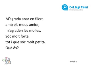 M’agrada anar en filera
amb els meus amics,
m’agraden les molles.
Sóc molt forta,
tot i que sóc molt petita.
Què és?

Adrià M.

 