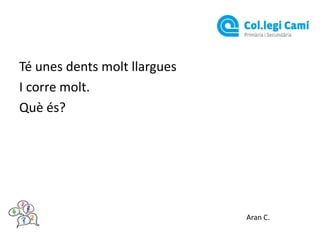 Té unes dents molt llargues
I corre molt.
Què és?

Aran C.

 