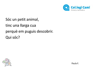 Sóc un petit animal,
tinc una llarga cua
perquè em puguis descobrir.
Qui sóc?

Paula F.

 