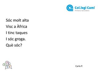 Sóc molt alta
Visc a Àfrica
I tinc taques
I sóc groga.
Què sóc?

Carla P.

 