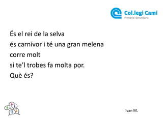 És el rei de la selva
és carnívor i té una gran melena
corre molt
si te’l trobes fa molta por.
Què és?

Ivan M.

 