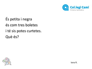 És petita i negra
és com tres boletes
i té sis potes curtetes.
Què és?

Iona R.

 