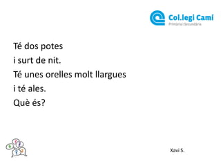 Té dos potes
i surt de nit.
Té unes orelles molt llargues
i té ales.
Què és?

Xavi S.

 