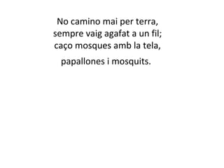 No camino mai per terra, 
sempre vaig agafat a un fil; 
caço mosques amb la tela, 
papallones i mosquits. 
 