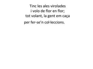 Tinc les ales virolades 
i volo de flor en flor; 
tot volant, la gent em caça 
per fer-se’n col·leccions. 
 