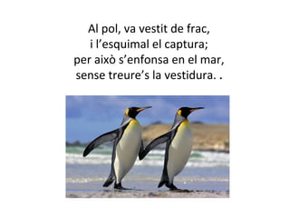 Al pol, va vestit de frac, 
i l’esquimal el captura; 
per això s’enfonsa en el mar, 
sense treure’s la vestidura. . 
 