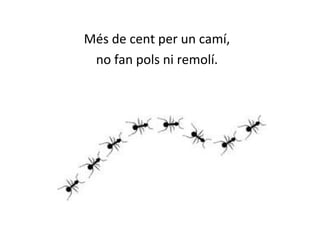 Més de cent per un camí, 
no fan pols ni remolí. 
 