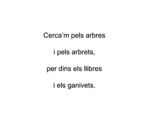 Cerca’m pels arbres
i pels arbrets,
per dins els llibres
i els ganivets.
 
