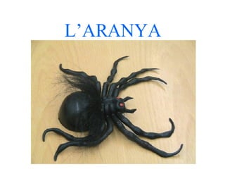 L’ARANYA 