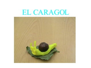 EL CARAGOL 