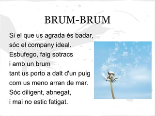 BRUM-BRUM
Si el que us agrada és badar,
sóc el company ideal.
Esbufego, faig sotracs
i amb un brum
tant us porto a dalt d'un puig
com us meno arran de mar.
Sóc diligent, abnegat,
i mai no estic fatigat.
 