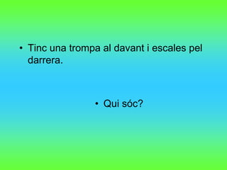 • Tinc una trompa al davant i escales pel
  darrera.



                • Qui sóc?
 