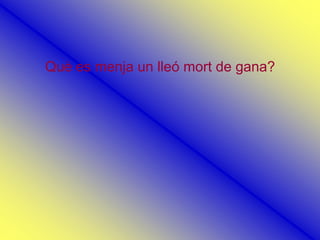 Què es menja un lleó mort de gana?
 