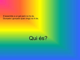 S’assembla a un gat però no ho és.
Grunyeix i grunyeix quan ningú no hi és.




                             Qui és?
 