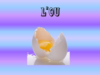 L’OU
 