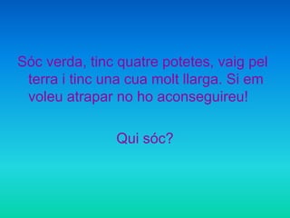 Sóc verda, tinc quatre potetes, vaig pel
 terra i tinc una cua molt llarga. Si em
 voleu atrapar no ho aconseguireu!

               Qui sóc?
 