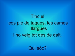 Tinc el
cos ple de taques, les cames
           llargues
  i ho veig tot des de dalt.

         Qui sóc?
 