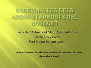 Festa de l’Arbre i del Medi Ambient 2017
Escola Les Vinyes
Sant Cugat Sesgarrigues
Per saber la resposta a les endevinalle...