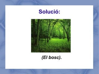 Solució:




 (El bosc).
 