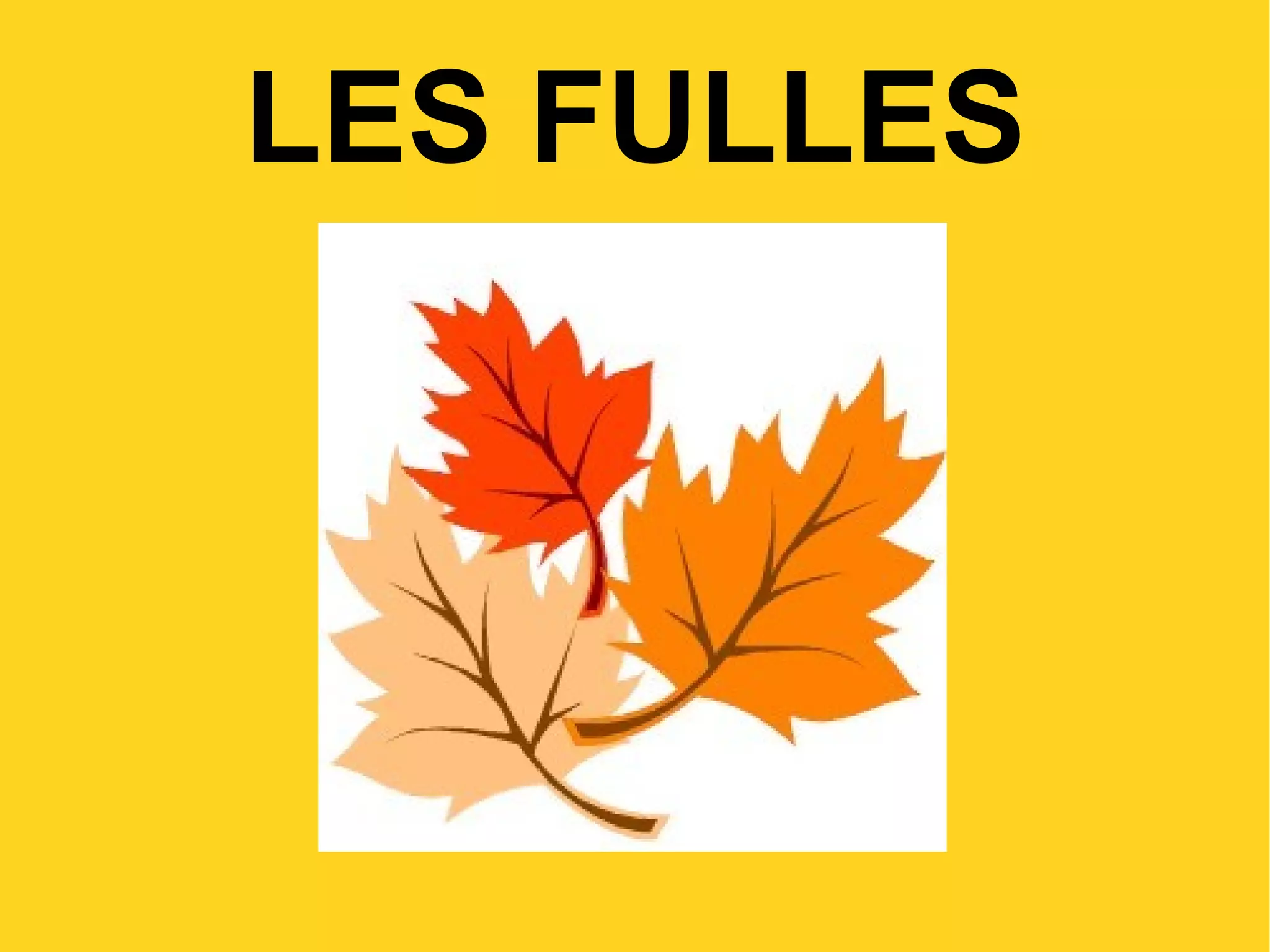 LES FULLES