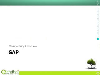 SAP
Competency Overview
 