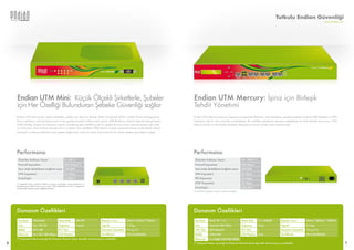 Endian Firewall | PDF