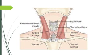 SIGNS AND SYMPTOMS
 Difficulty in swallowing (dysphagia) due to a large thyroid pressing on
the esophagus
 Enlarged thyr...