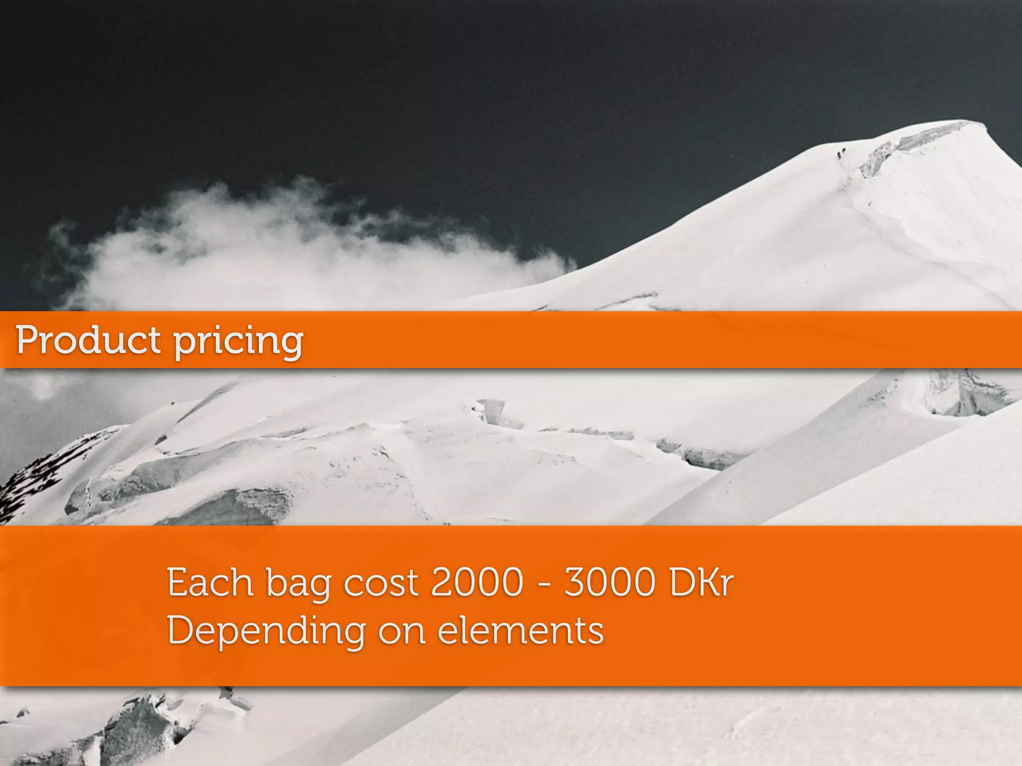 Product pricing




       Each bag cost 2000 - 3000 DKr
       Depending on elements
 