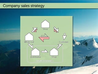 Company sales strategy
 