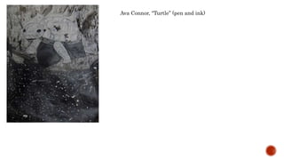 Ava Connor, Turtle (pen and ink)
 