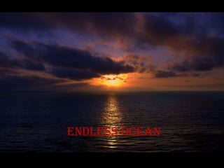 Endless ocean
 
