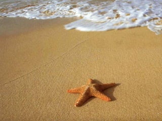 Endless summer