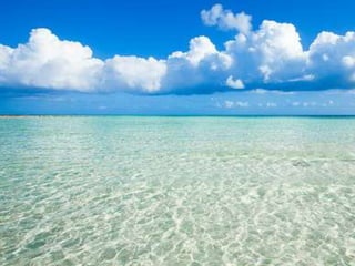 Endless summer